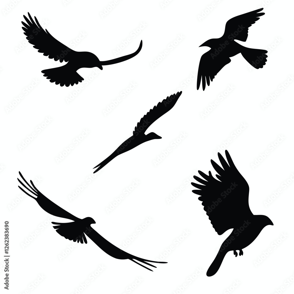 Obraz premium set of silhouettes of birds