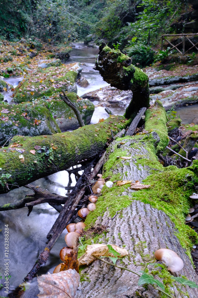 Waterfall River Orfento Valley - Majella - Abruzzo - Italy