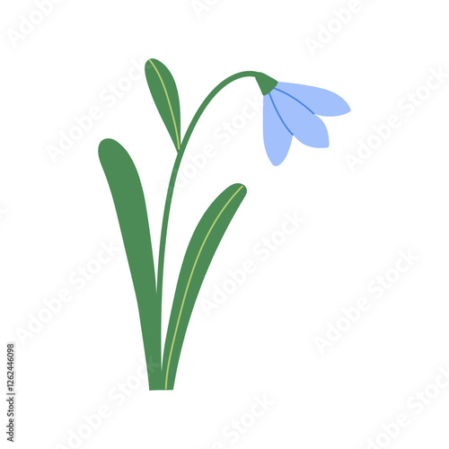 Abstract blue snowdrop with leaves isolated on white background. Spring wildflower. Hand drawn vector botanical illustration.
