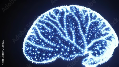 Brain Visualization