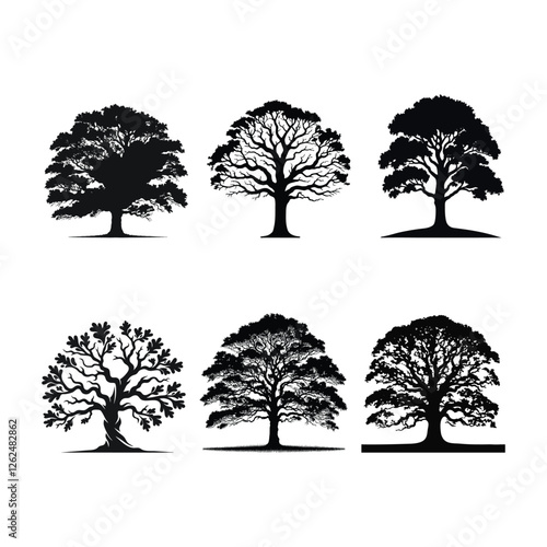 Baobab Tree silhouette 