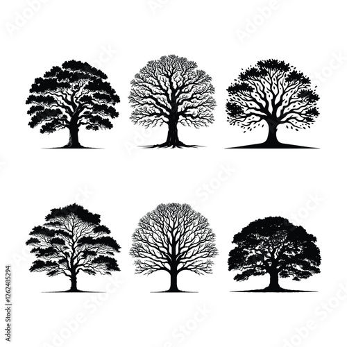 Baobab Tree silhouette 