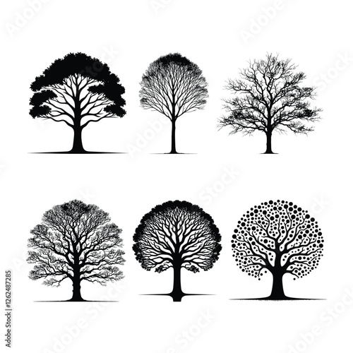 Baobab Tree silhouette 