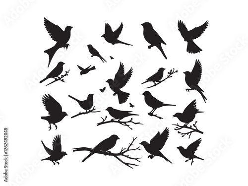 Birds silhouette vector file bundle isolated on white background