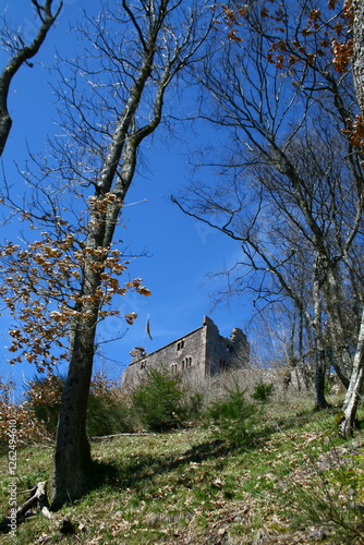 Burgruine Hohengeroldseck photo