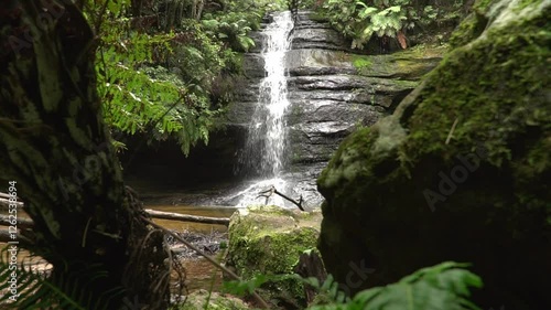 Pool of Siloam, a tranquil waterfall nestled in the lush rainforest of the Blue Mountains National Park, NSW, Australia. Waterfall surrounded by vibrant green ferns and moss-covered boulders.