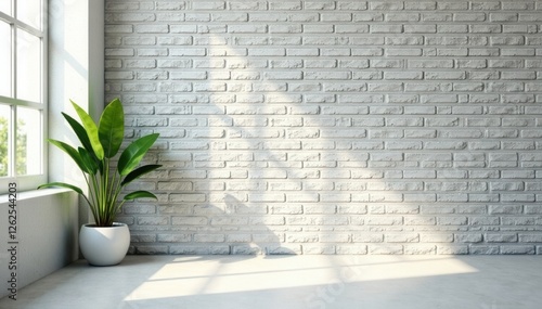 Light grey stone brick wall, empty room, natural light, plant shadows , meeting, natural light, room