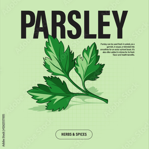 Parsley Herbs Premium Vector Clipart High-Quality Illustration for Cooking Branding and Packaging