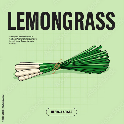 Lemongrass Premium Vector Clipart High-Quality Illustration for Cooking Branding and Packaging