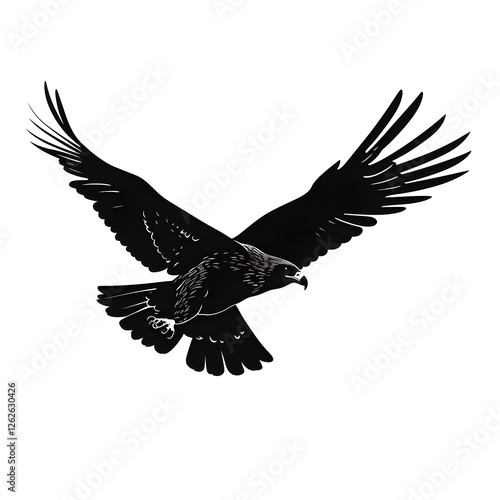 hawk silhouette