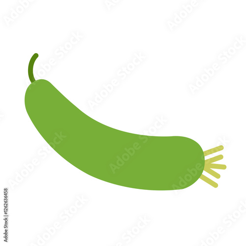 Sponge gourd flat icon