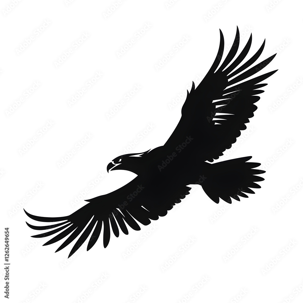 Obraz premium bald eagle silhouette