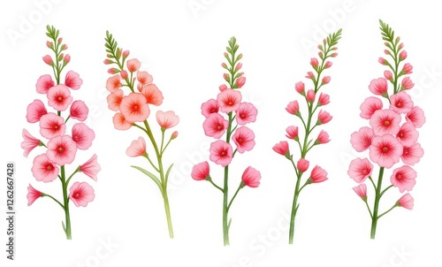 Wallpaper Mural Beautiful pink floral illustrations Torontodigital.ca