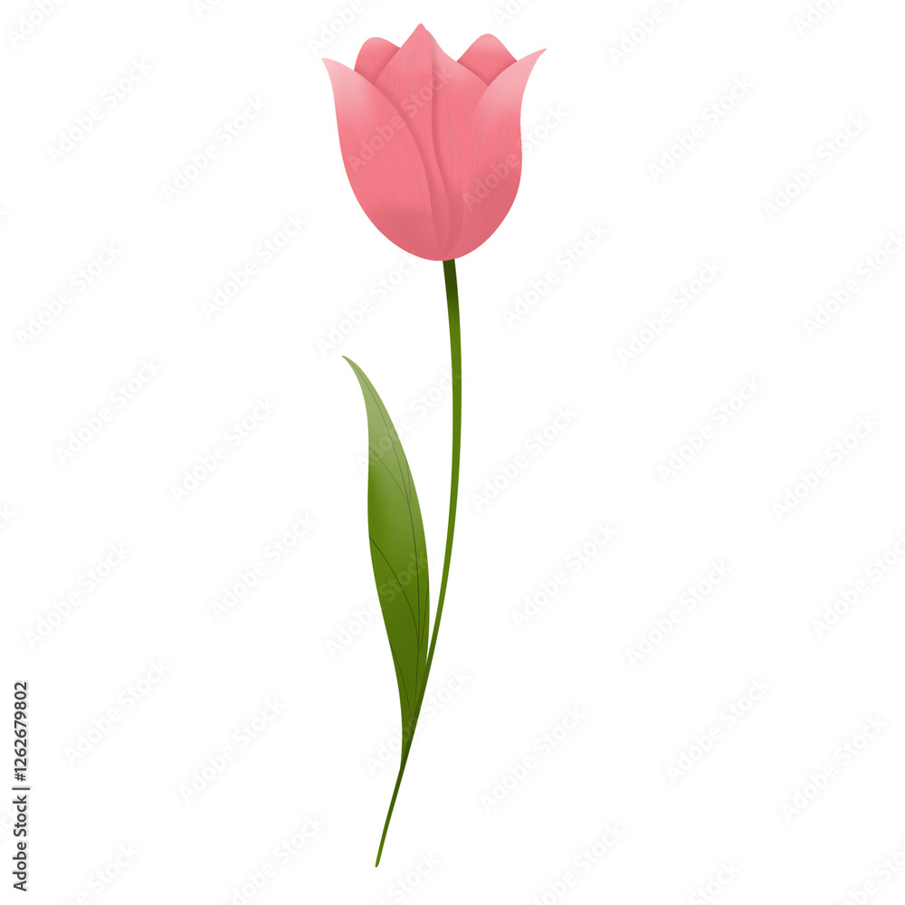 Obraz premium Gentle Elegance: The Beauty of a Pink Tulip