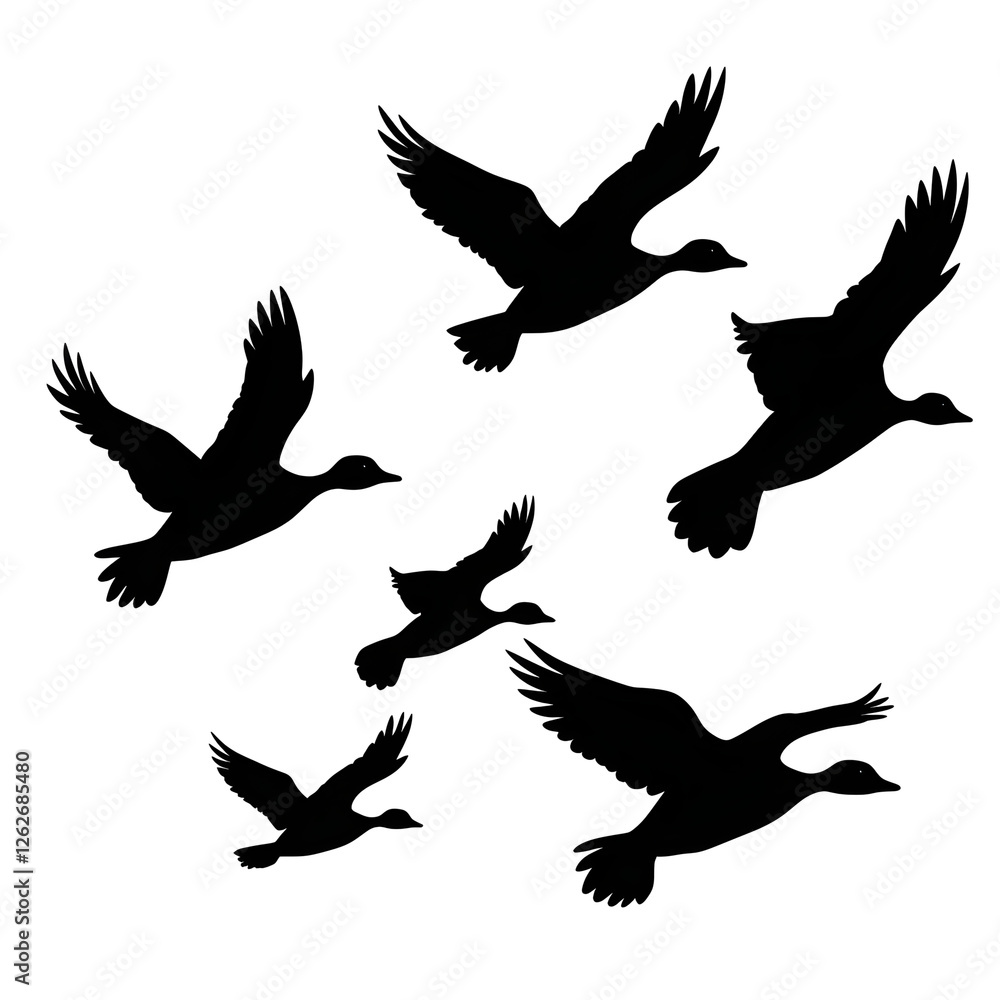 Obraz premium ducks flying silhouette