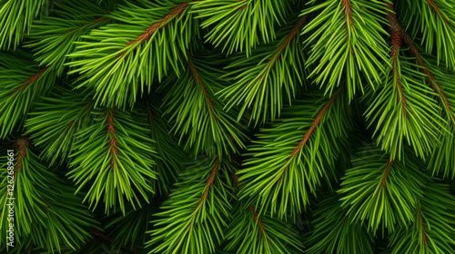Lush evergreen pine branches creating a vibrant, natural green background ideal for nature-themed designs and eco-friendly projects.