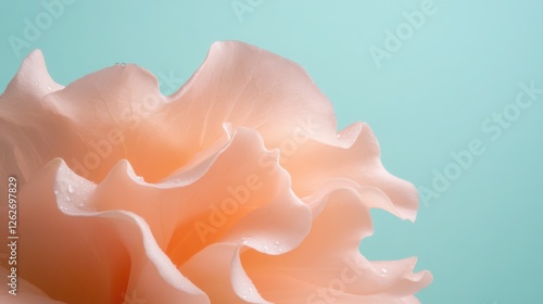 fresh vegetable concept. Delicate peach flower petal against a soft blue background.