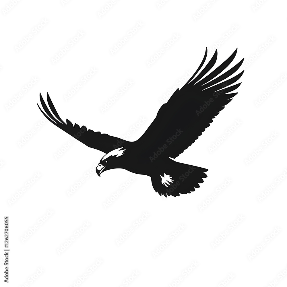 Fototapeta premium eagle flying silhouette