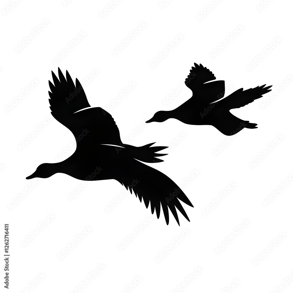 Obraz premium ducks flying silhouette