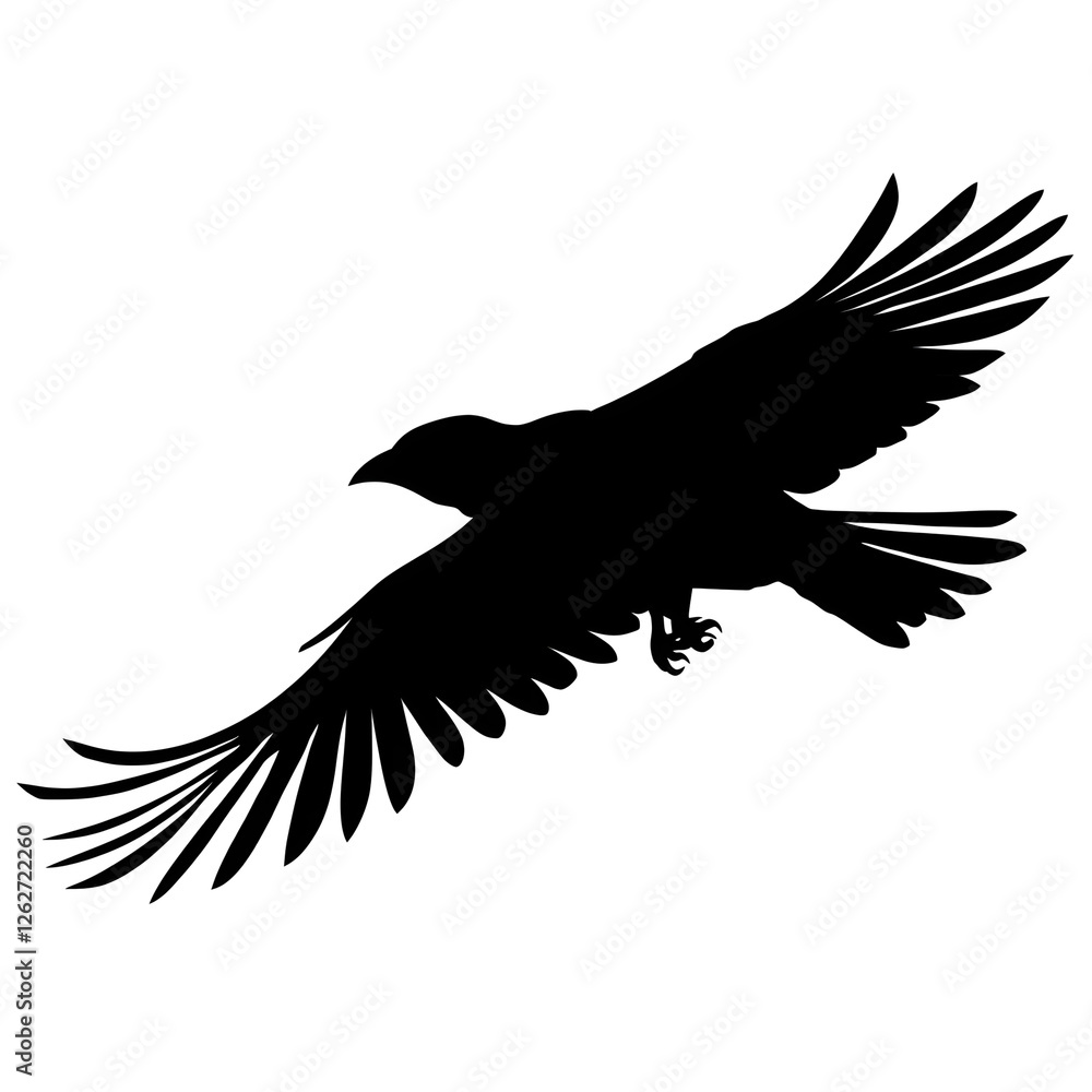 Obraz premium crow flight silhouette