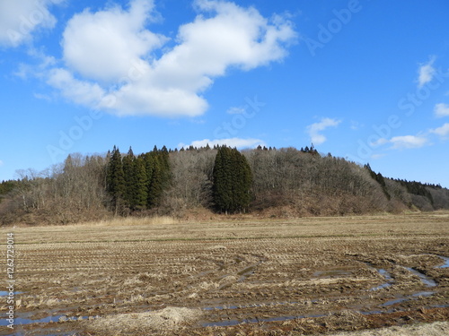 早春の農村風景