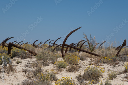 Algarve anchor beach