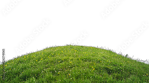Fototapeta Naklejka Na Ścianę i Meble -  a grassy hill covered in green grass and flowers PNG image, PNG file, Generative art.
