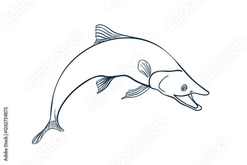 Single salmon black white vector illustration. Trout silhouette hand drawn. Nerka sea fish painted ink linear art. Sockeye drawing in outline monochrome. Design element for package, label, sign board.