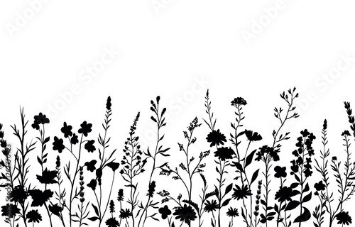 vector illustration of silhouettes background with various wildflowers and delicate plants, seamless from right to left