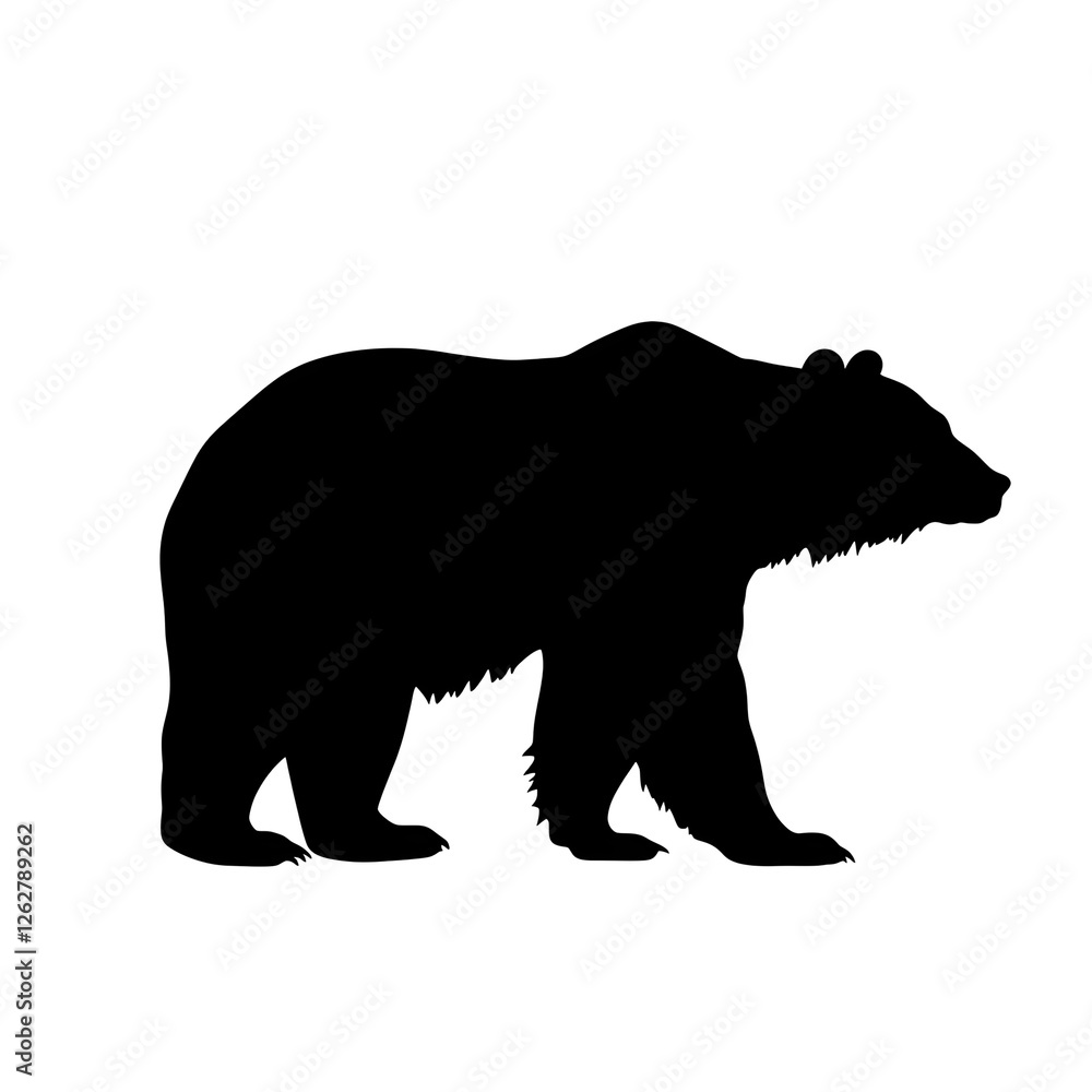 Fototapeta premium a polar bear silhouette