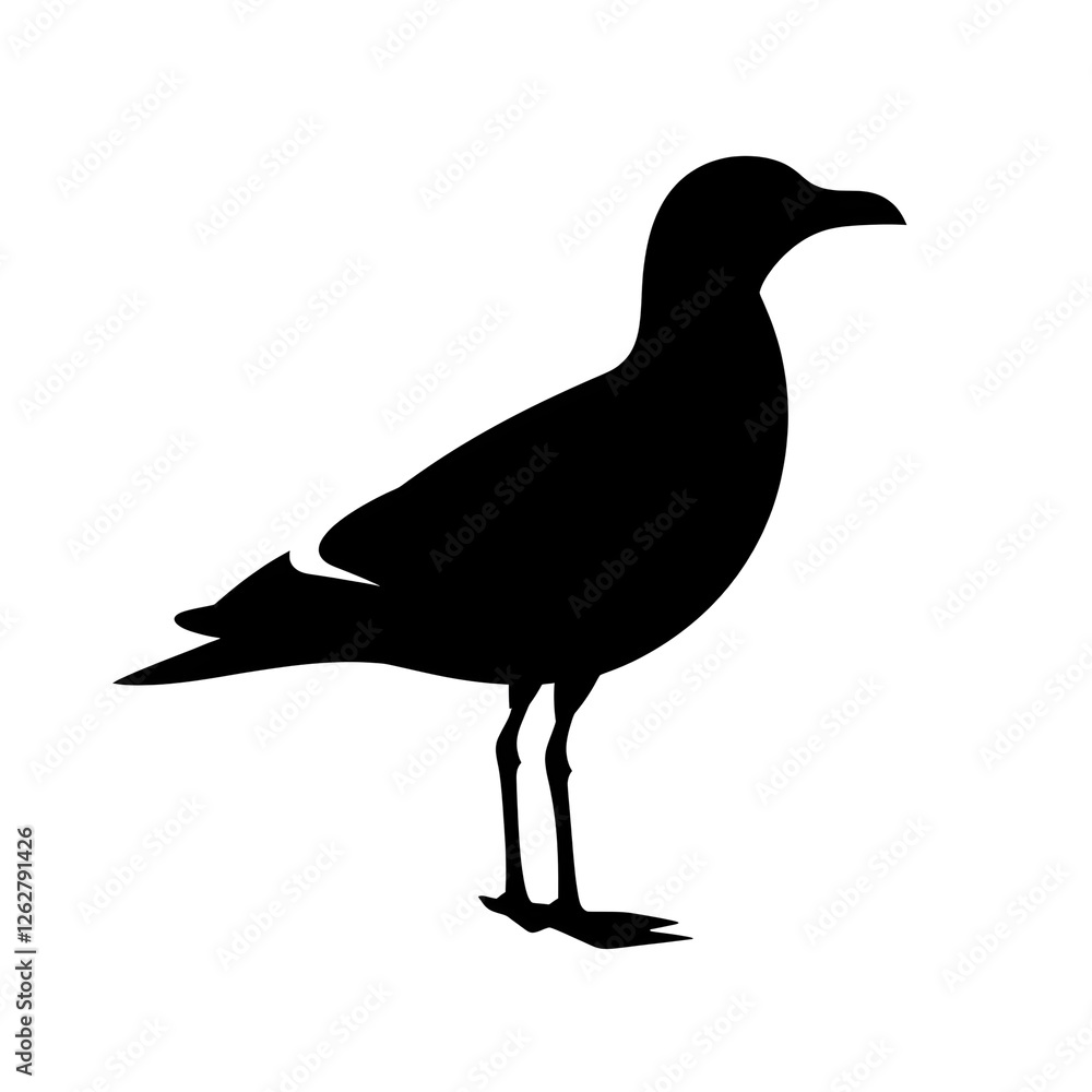 Obraz premium seagull silhouette