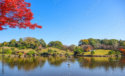 Shinjuku gyoen park tokyo in autumn season