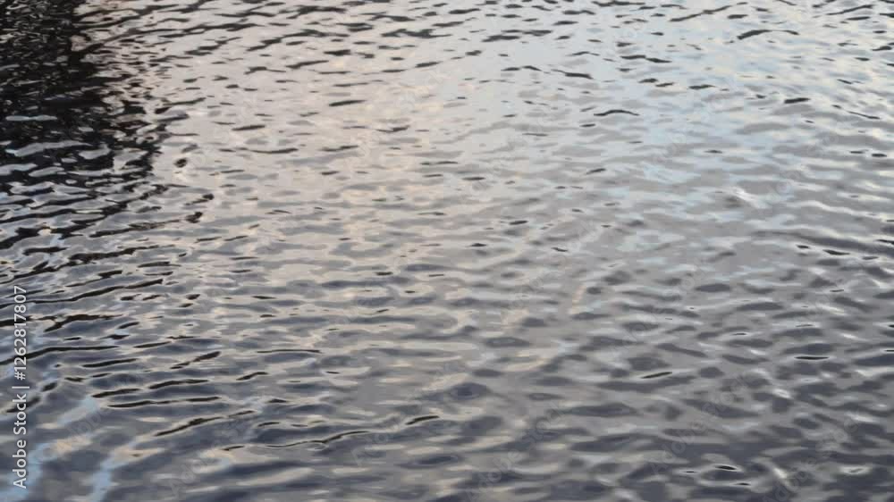 A shimmering water surface animated by delicate waves and dynamic light reflections. This captivating scene showcases the beauty of water fluidity in nature. A shimmering water surface animated by delicate waves and dynamic light reflections. This captivating scene showcases the beauty of water fluidity in nature.