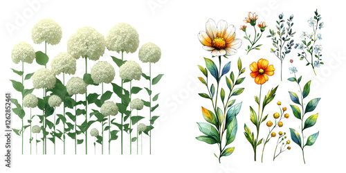 Wallpaper Mural A vibrant collection of diverse flowers and foliage featuring blooming daisies and intricately detailed blossoms, perfect for nature enthusiasts. PNG transparent background Torontodigital.ca
