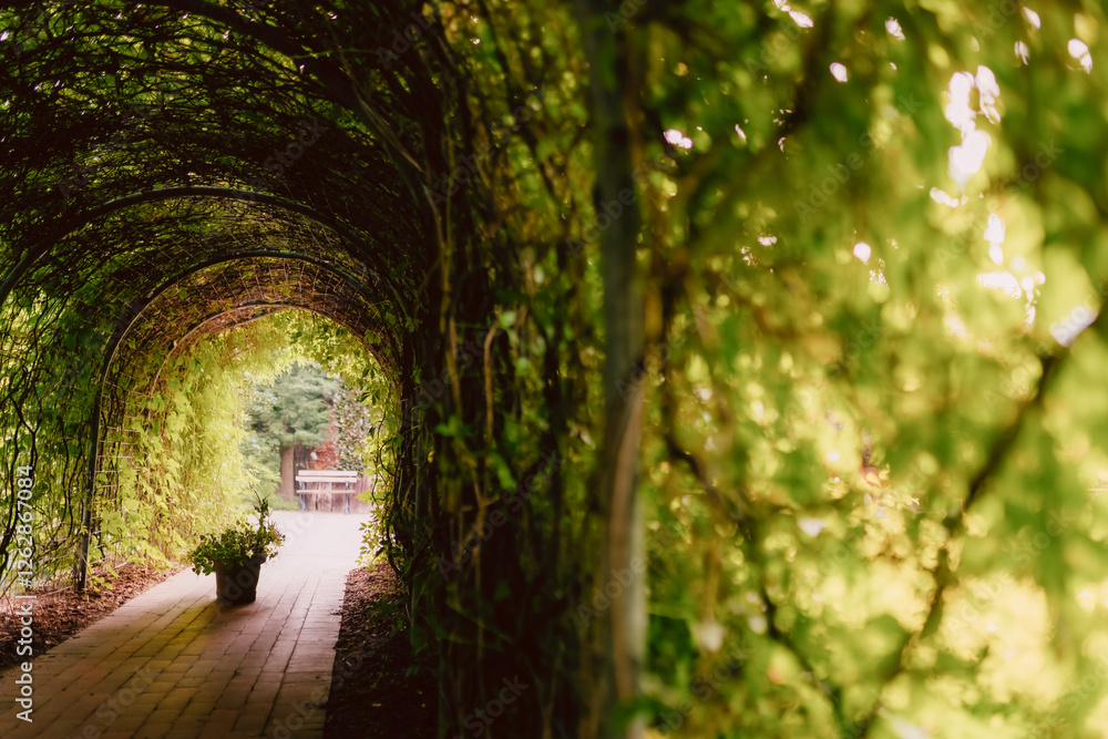 Fototapeta premium Tunnel of plants in the garden, magical places, public park, walking