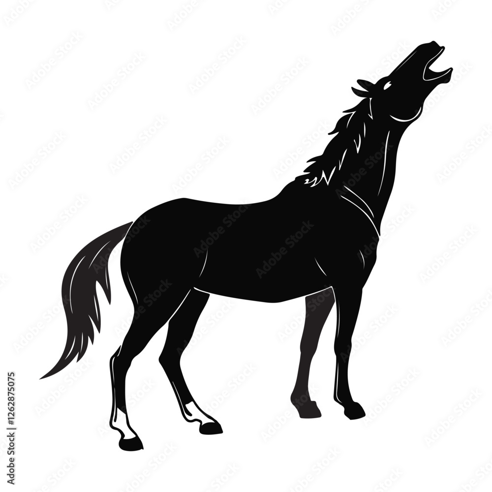 Obraz premium HORSE SILHOUETTE BLACK