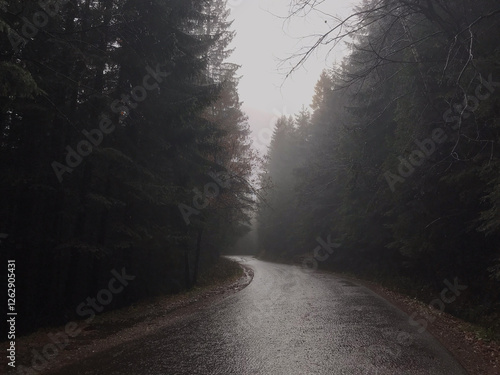 Obraz na płótnie road to foggy forest in Zakopane in rainy weather w salonie