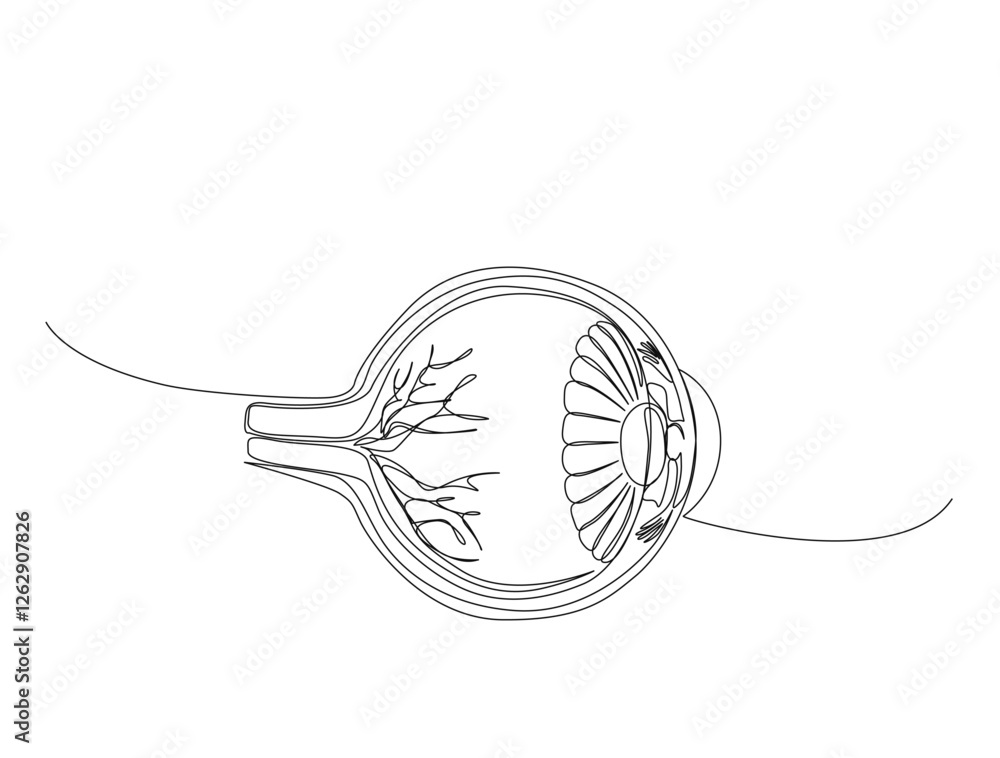 Obraz premium Continuous one line drawing of human eyeball retina. Human eyeball in single line draw illustration. Editable stroke.