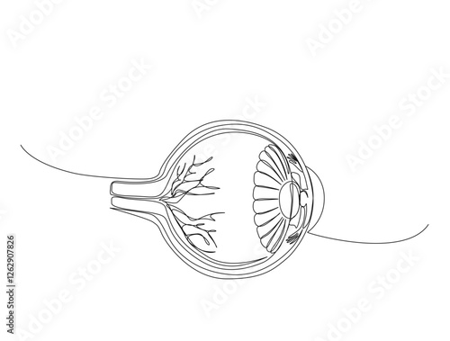 Continuous one line drawing of human eyeball retina. Human eyeball in single line draw illustration. Editable stroke.