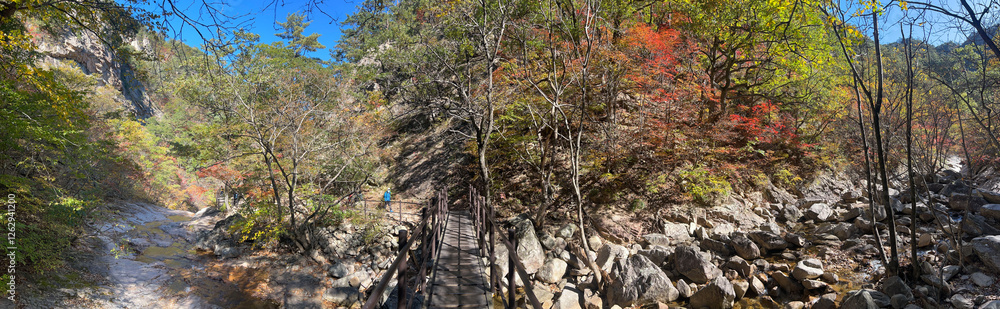Path at Mountain range at Seoraksan national park in South Korea Path at Mountain range at Seoraksan national park in South Korea