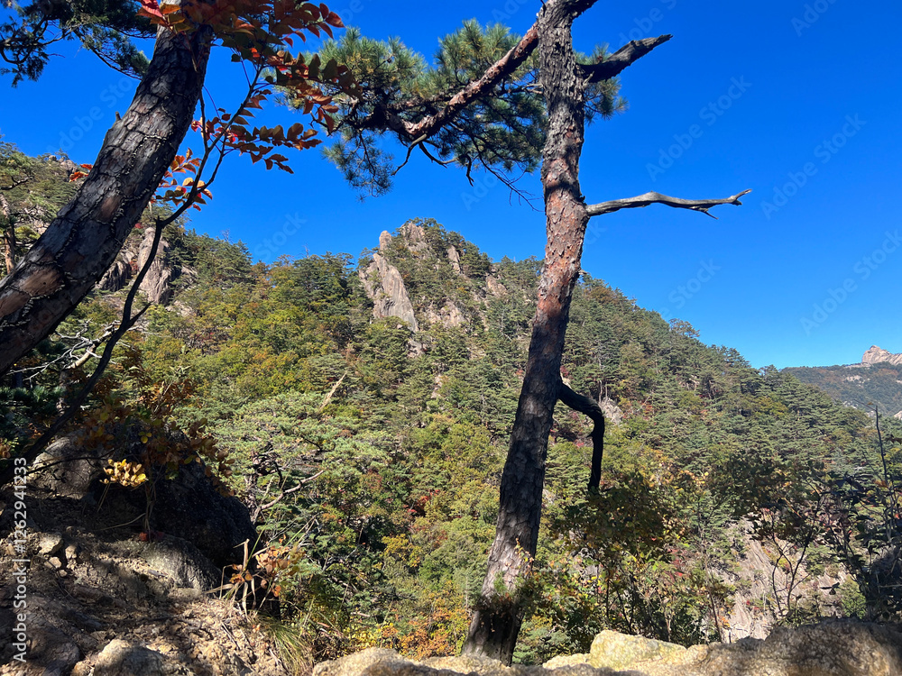 Mountain range at Seoraksan national park in South Korea