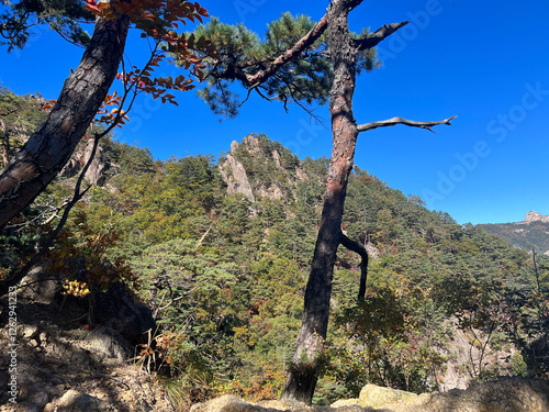 Obraz na płótnie Mountain range at Seoraksan national park in South Korea w salonie