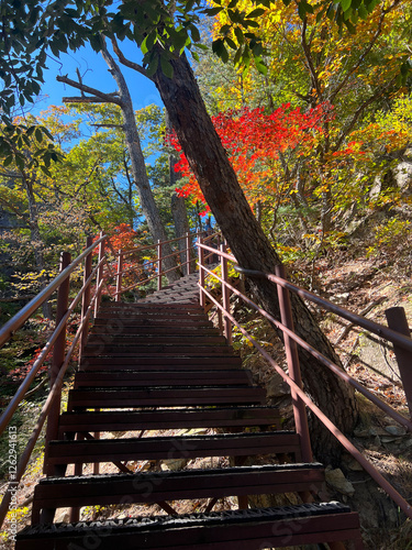 Obraz na płótnie Stairs at Mountain range at Seoraksan national park in South Korea w salonie