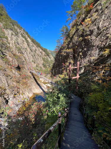 Obraz na płótnie Bridge at Seoraksan national park w salonie