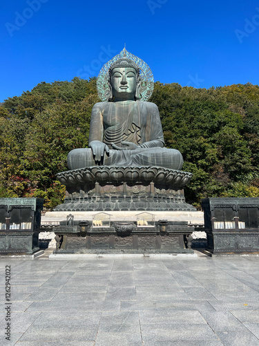 Obraz na płótnie Budha statue at Seoraksan national park w salonie