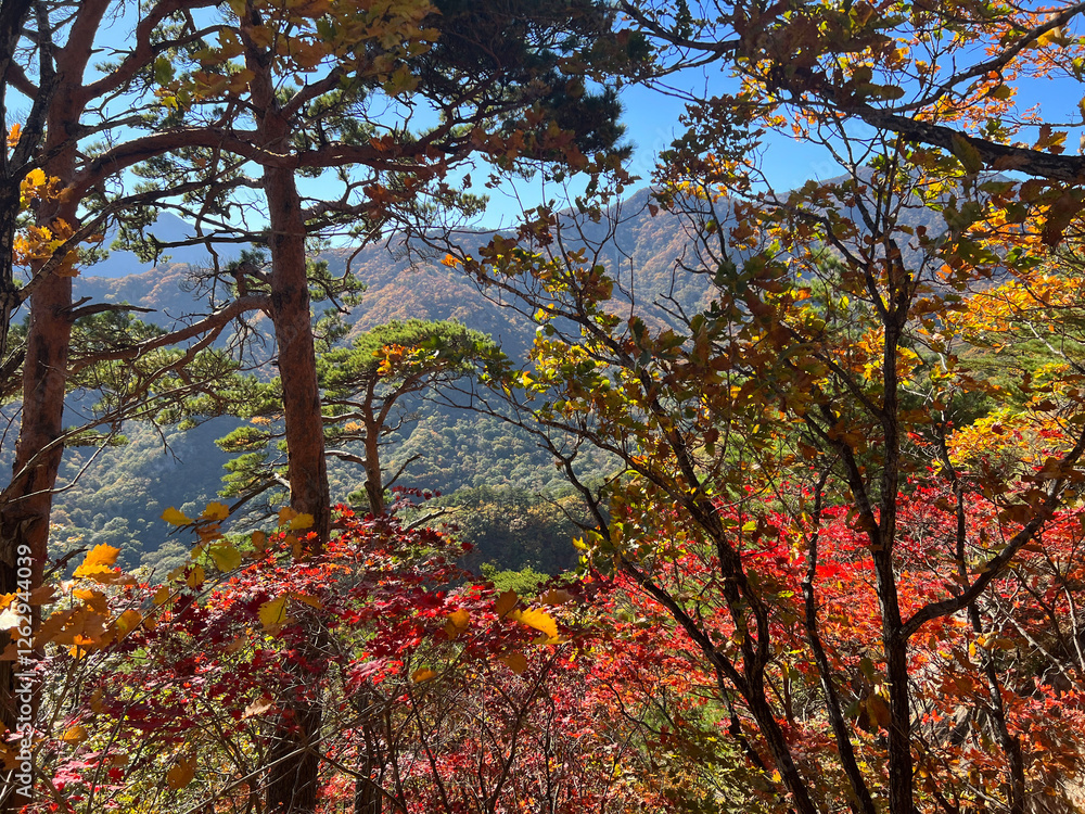 Scenery from Mountain range at Seoraksan national park