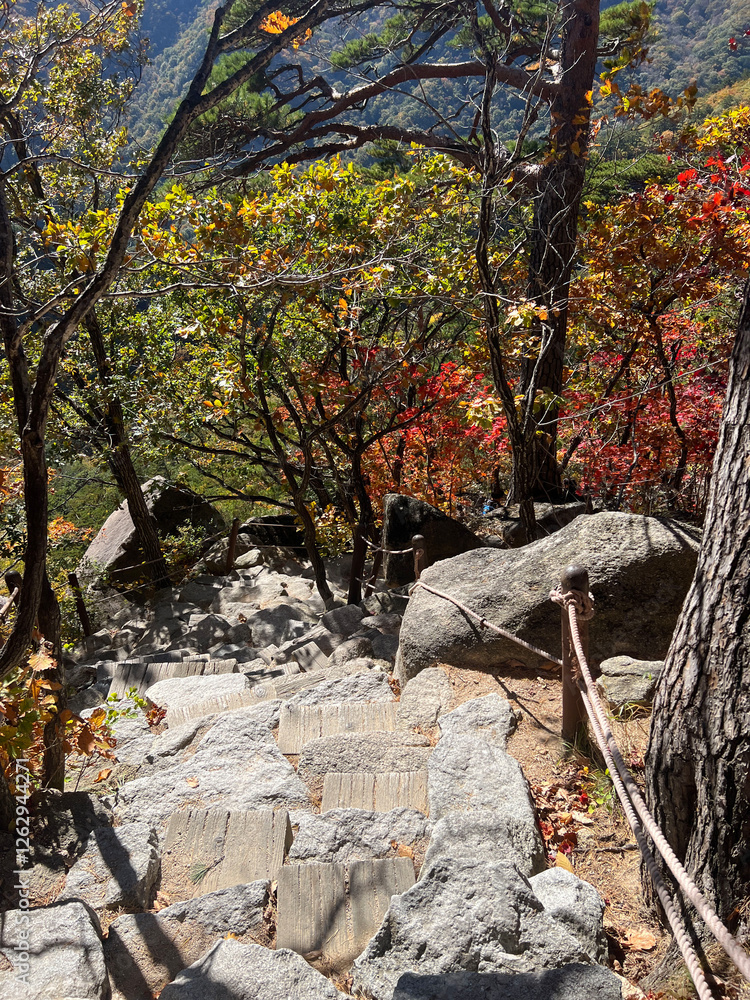 Path at the Mountain range at Seoraksan national park