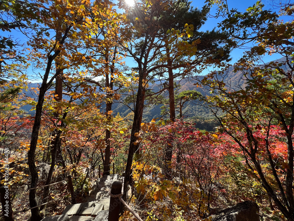 Path at the Mountain range at Seoraksan national park
