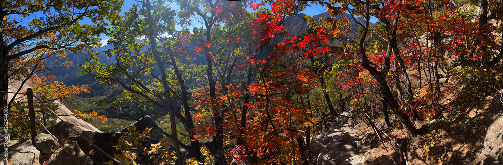 Autumn forest panorama at Seoraksan national park
