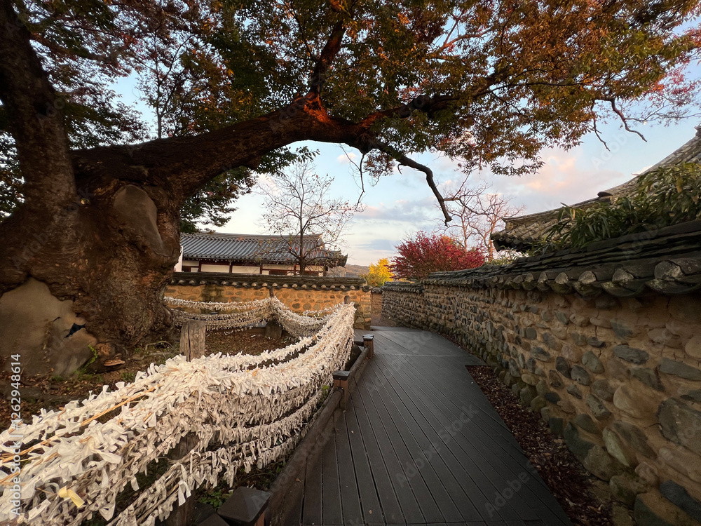 The wishing tree in Andong Hahoe Folk Village
